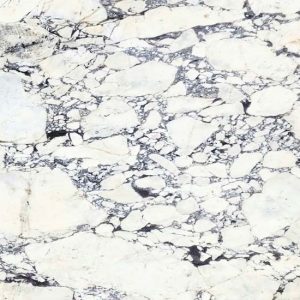 Calacatta Viola Premium 1